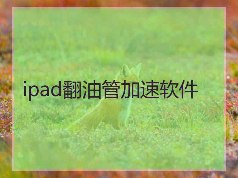 ipad翻油管加速软件