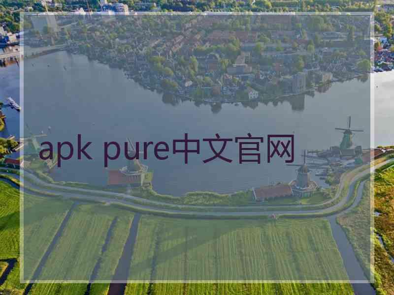 apk pure中文官网