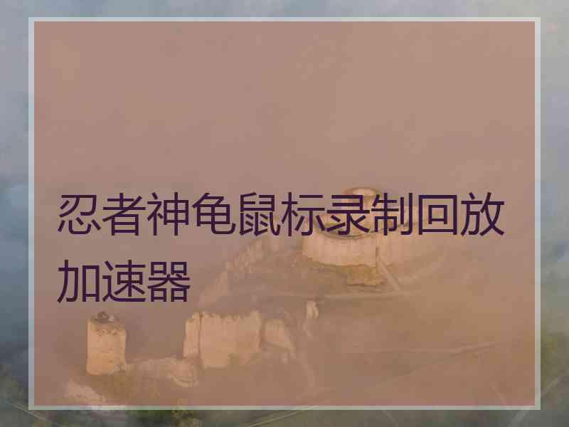 忍者神龟鼠标录制回放加速器