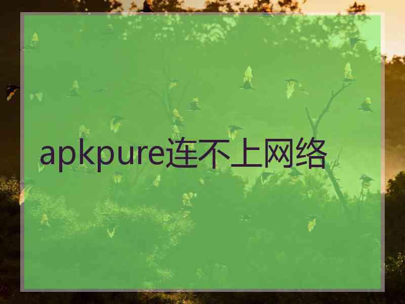 apkpure连不上网络