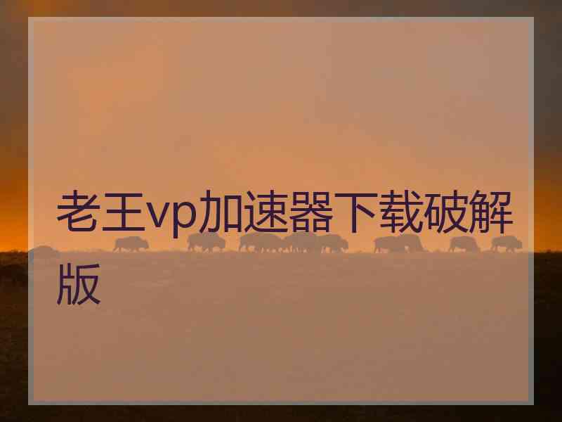 老王vp加速器下载破解版