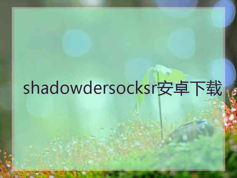 shadowdersocksr安卓下载