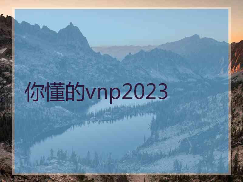 你懂的vnp2023