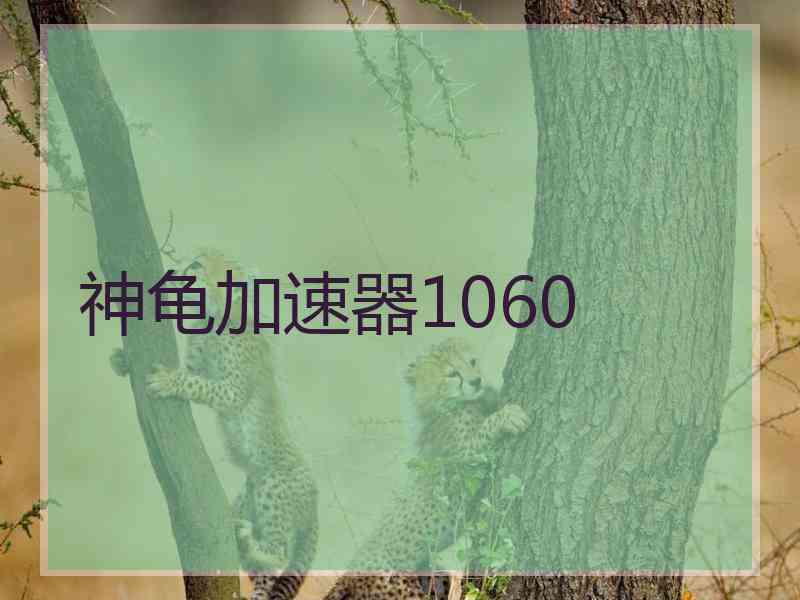 神龟加速器1060