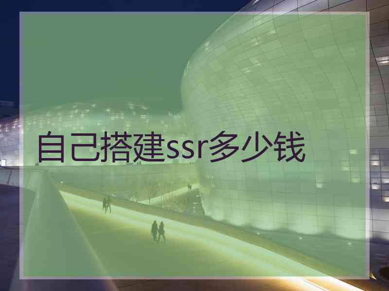 自己搭建ssr多少钱