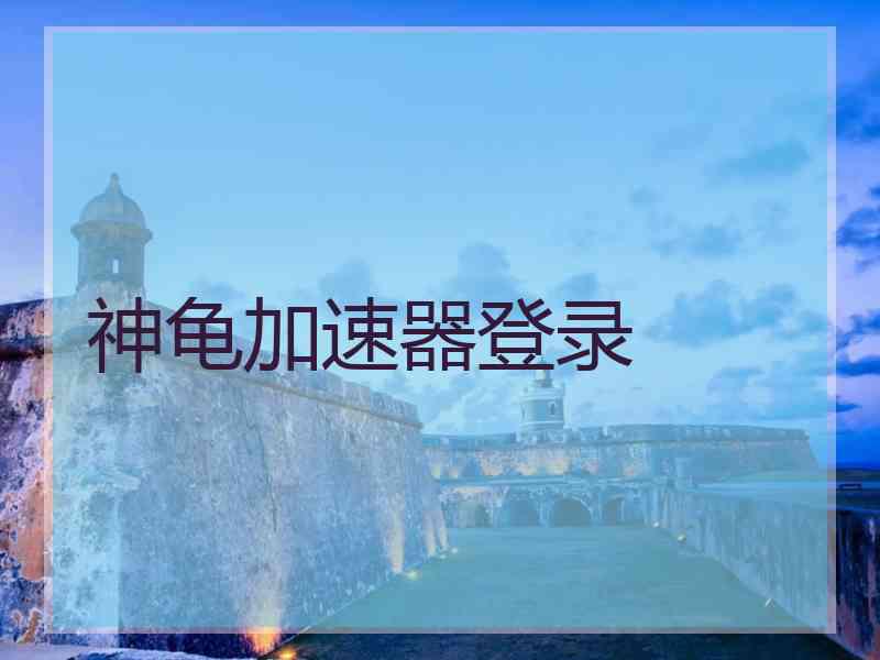 神龟加速器登录