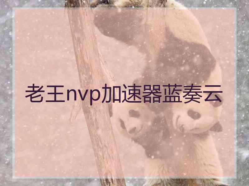 老王nvp加速器蓝奏云