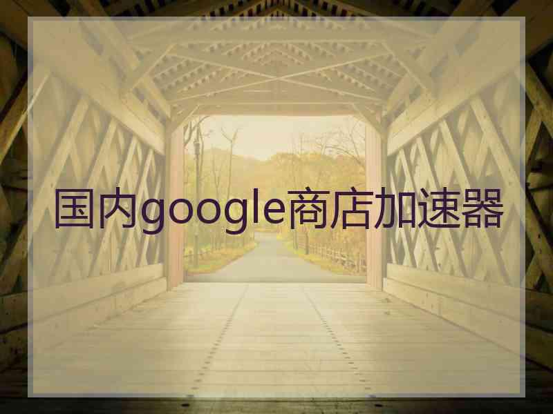 国内google商店加速器