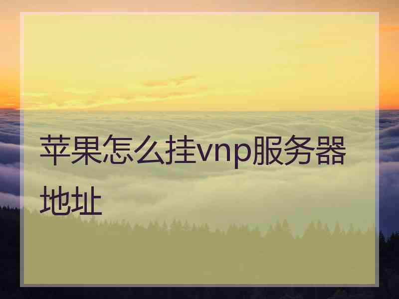 苹果怎么挂vnp服务器地址