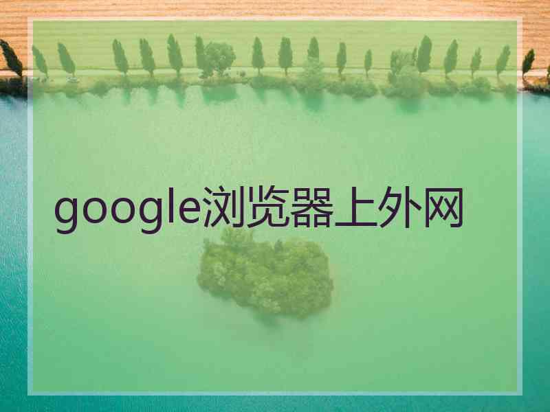 google浏览器上外网