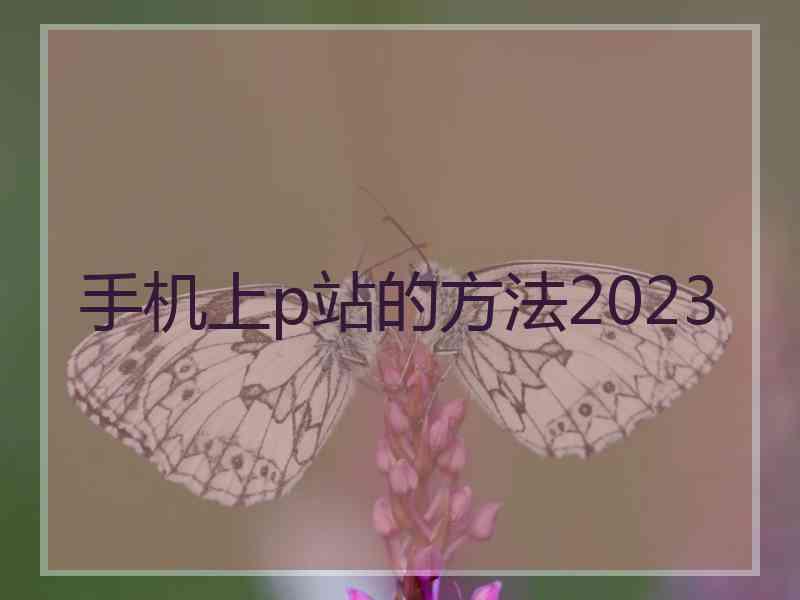 手机上p站的方法2023