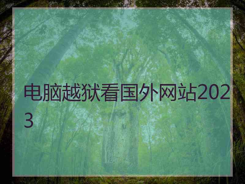 电脑越狱看国外网站2023