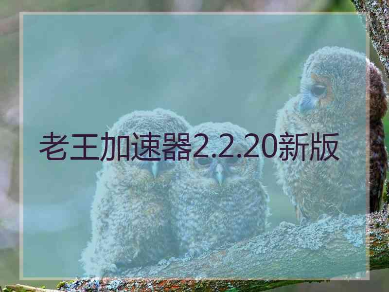 老王加速器2.2.20新版