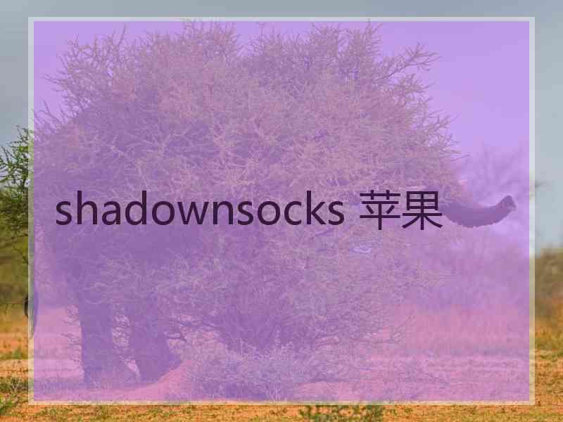 shadownsocks 苹果