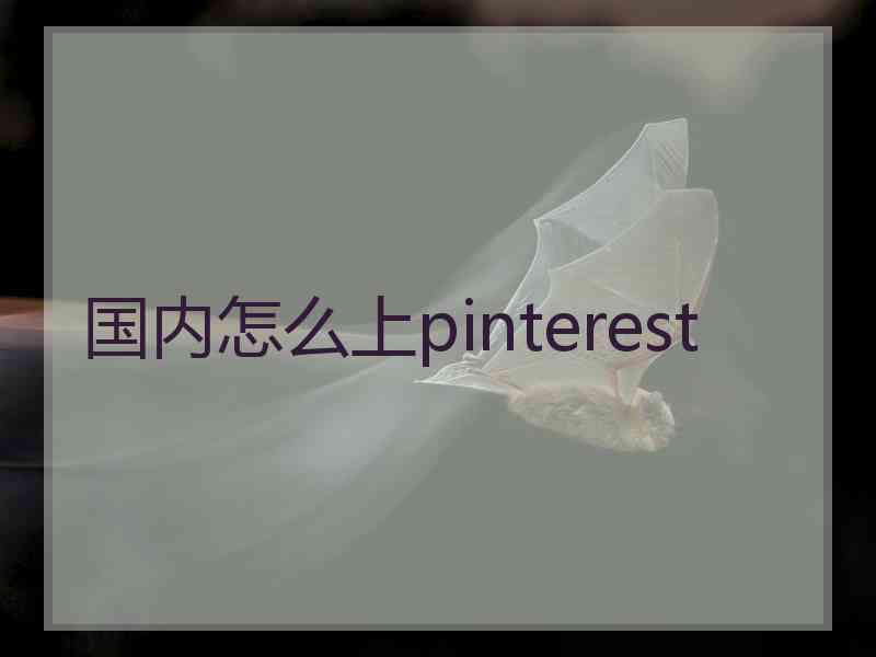 国内怎么上pinterest