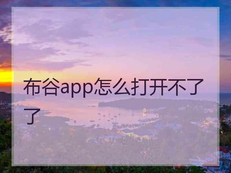 布谷app怎么打开不了了