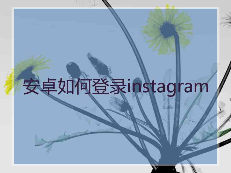 安卓如何登录instagram