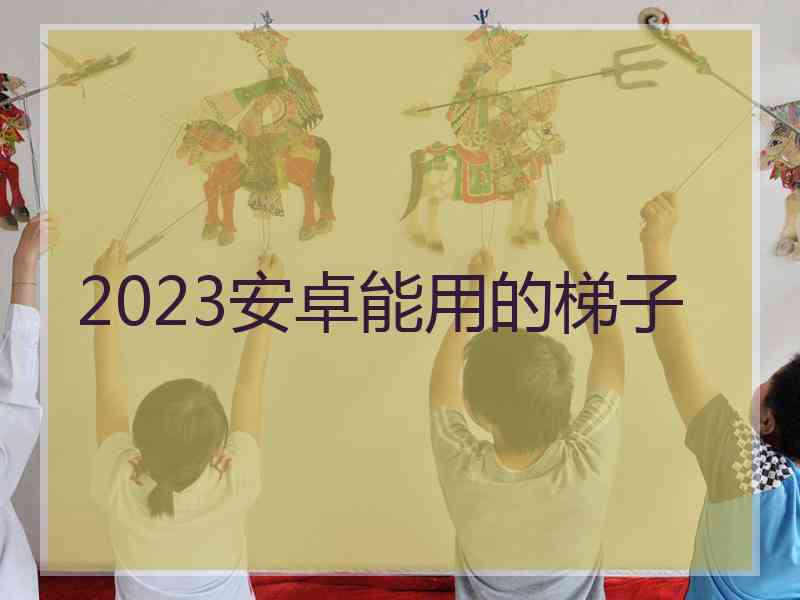 2023安卓能用的梯子