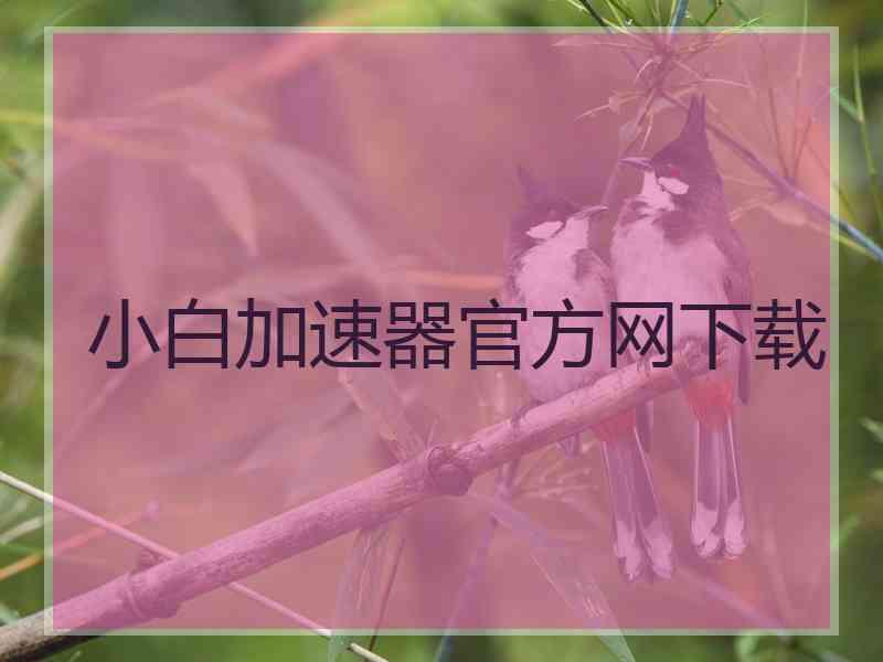 小白加速器官方网下载