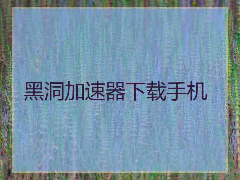 黑洞加速器下载手机