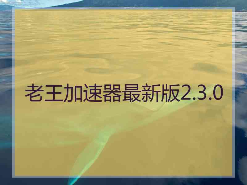 老王加速器最新版2.3.0