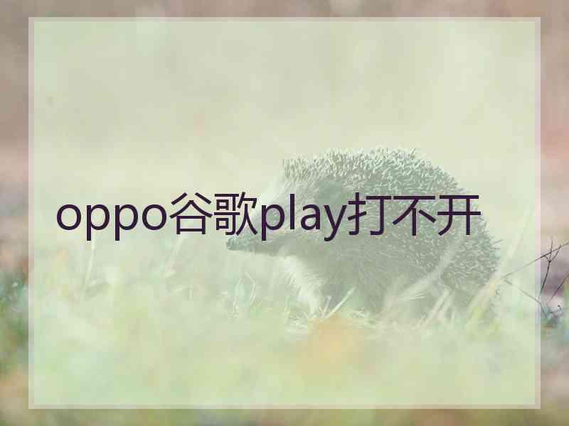 oppo谷歌play打不开