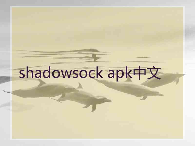 shadowsock apk中文