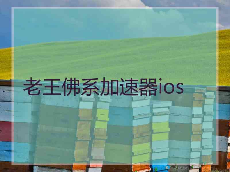 老王佛系加速器ios