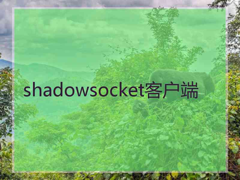 shadowsocket客户端