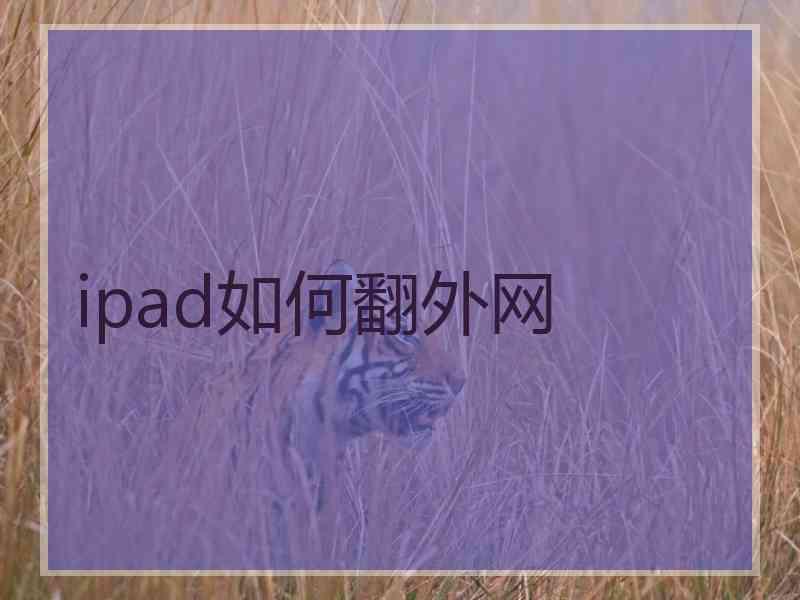 ipad如何翻外网