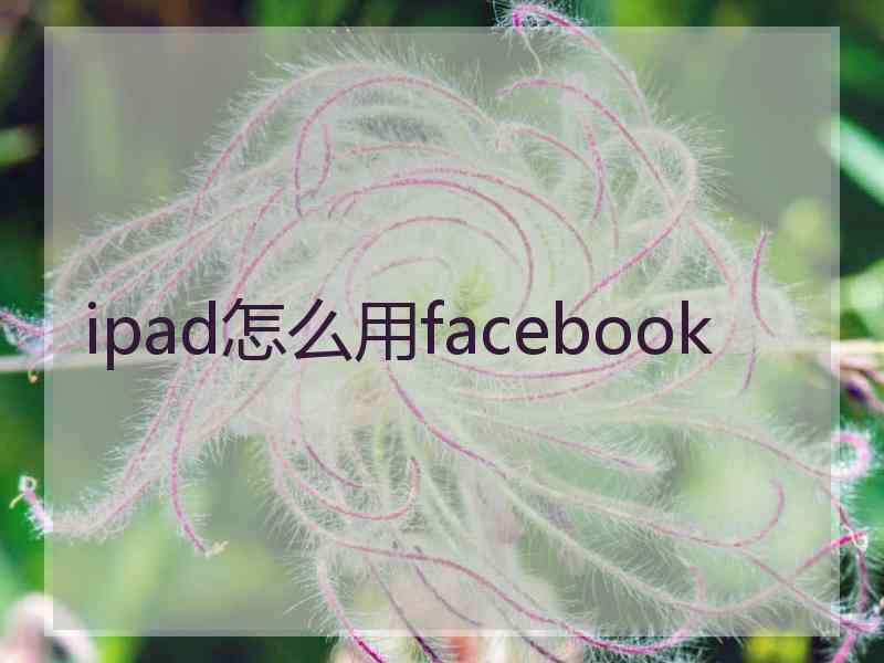 ipad怎么用facebook