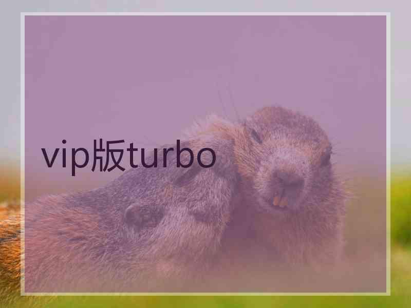 vip版turbo