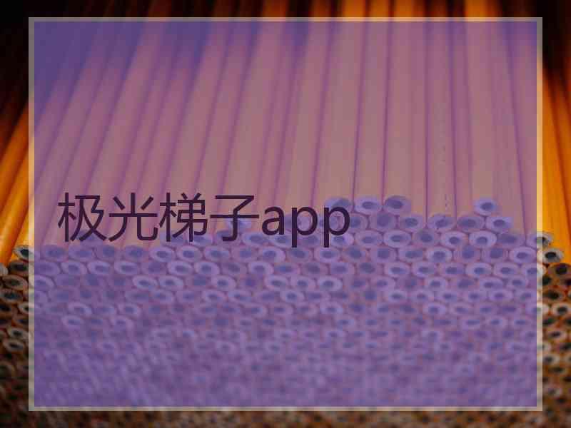 极光梯子app