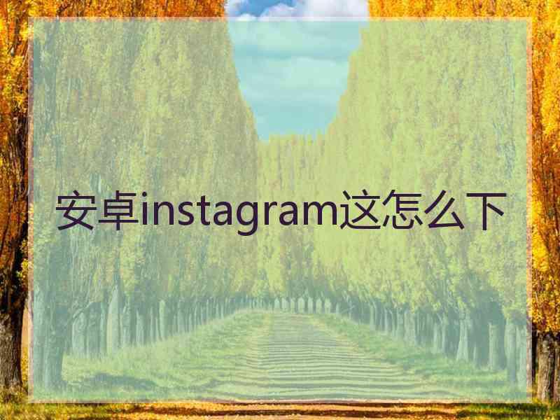 安卓instagram这怎么下