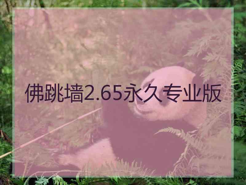 佛跳墙2.65永久专业版