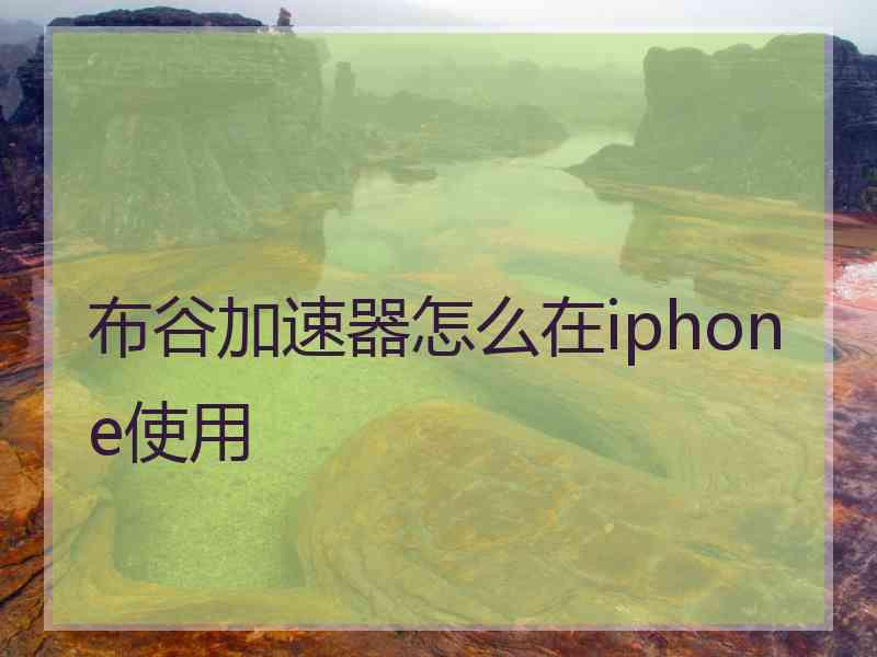 布谷加速器怎么在iphone使用