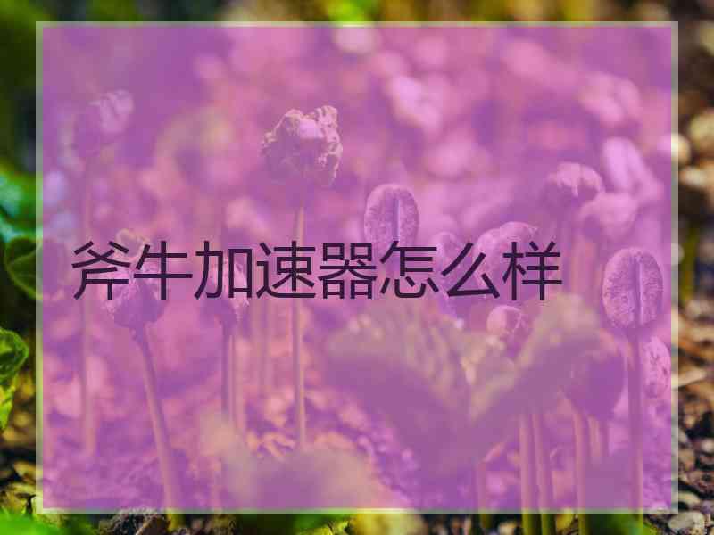 斧牛加速器怎么样