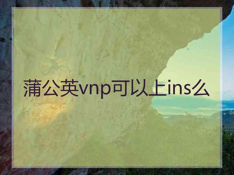 蒲公英vnp可以上ins么