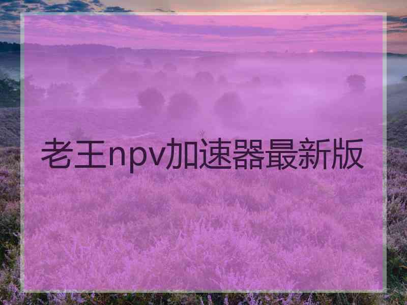 老王npv加速器最新版