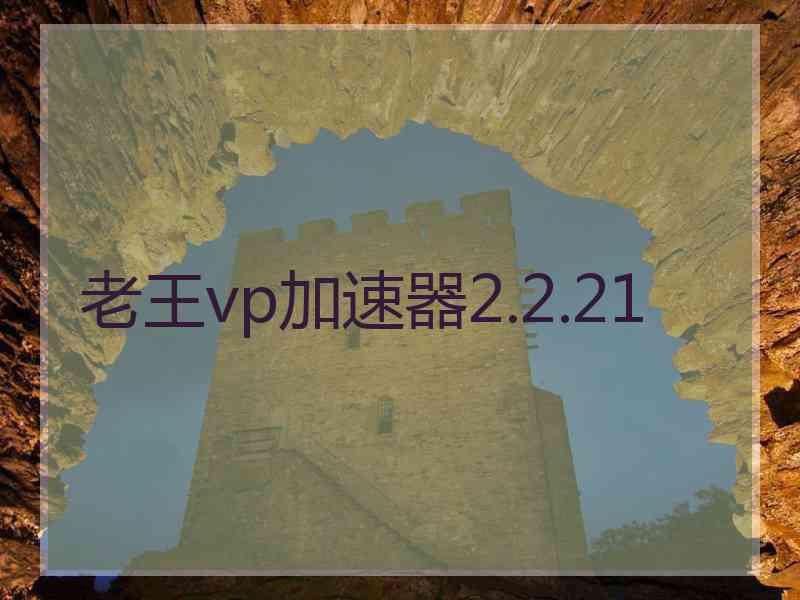 老王vp加速器2.2.21