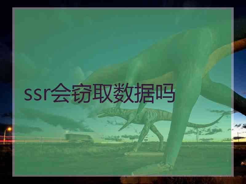 ssr会窃取数据吗