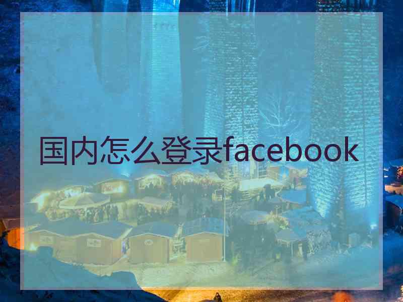 国内怎么登录facebook