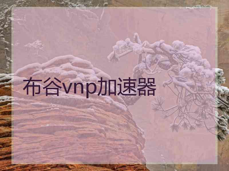 布谷vnp加速器