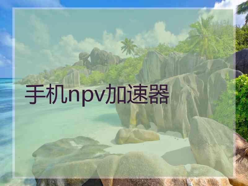 手机npv加速器