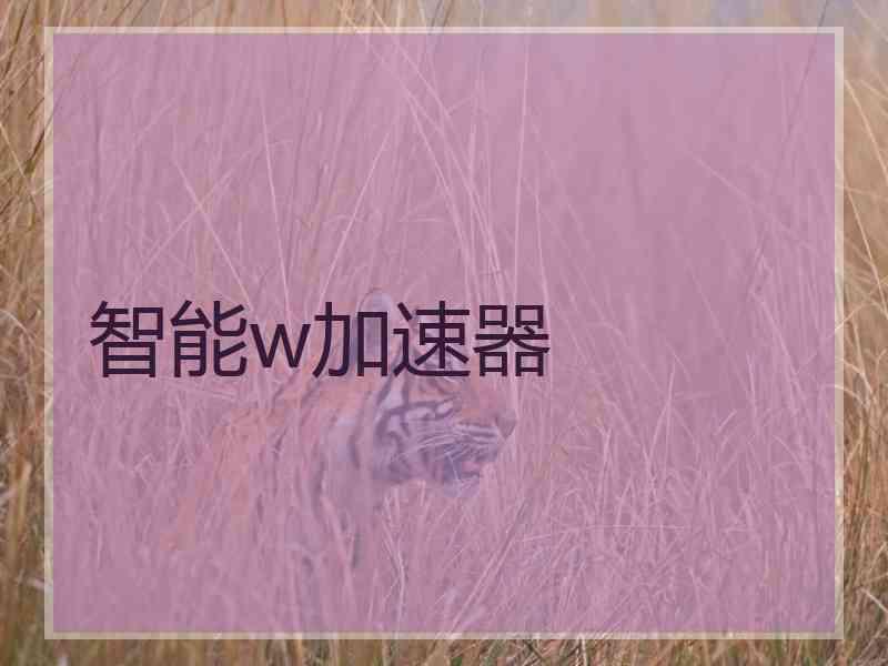 智能w加速器