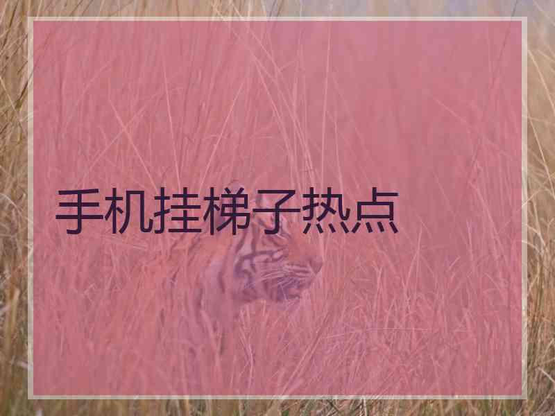 手机挂梯子热点