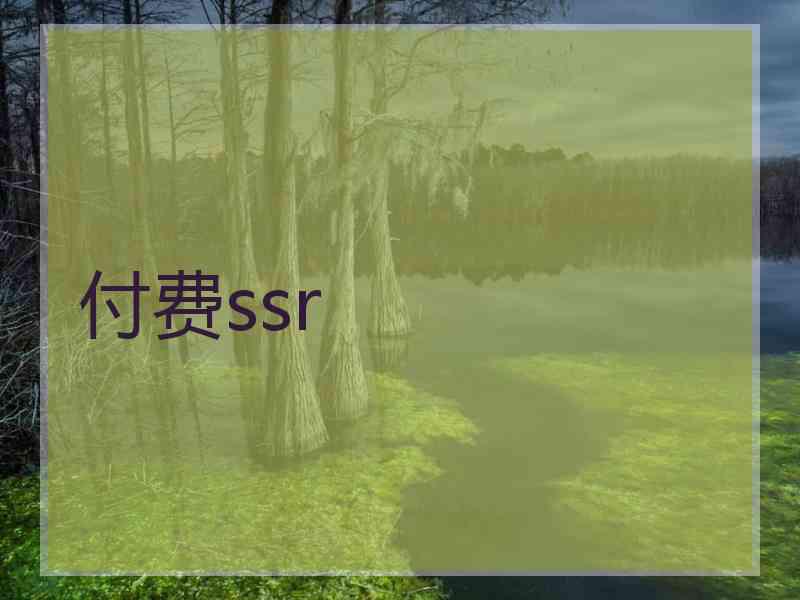 付费ssr