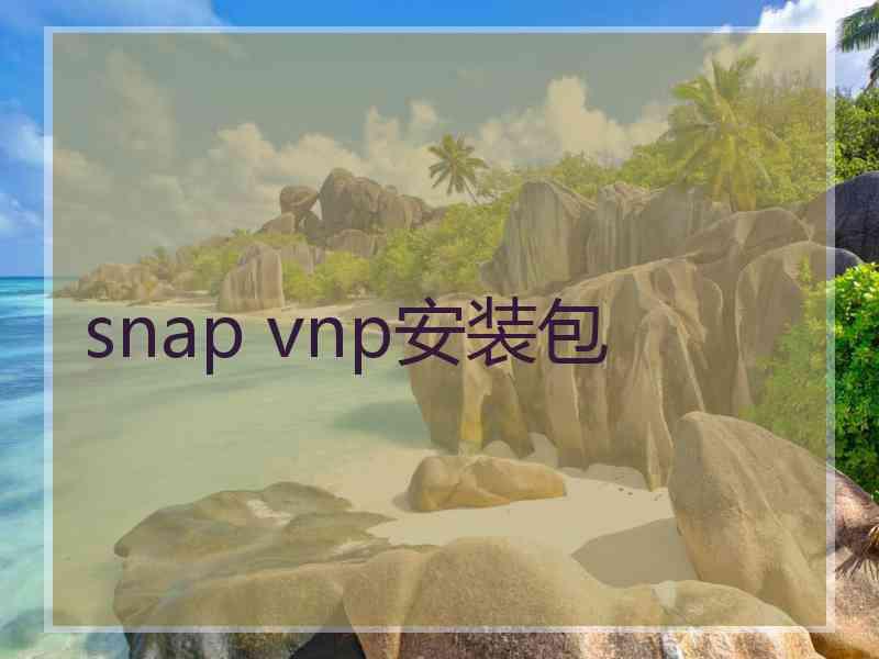 snap vnp安装包