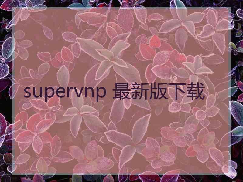 supervnp 最新版下载