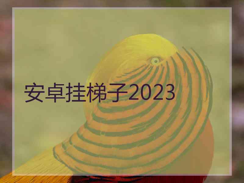 安卓挂梯子2023